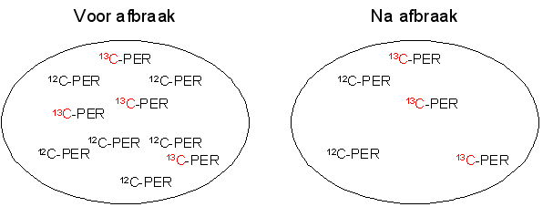 Principe van fractionering; verandering van de koolstof-isotopenratio van de uitgangsstof bij afbraak